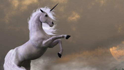 10 Dazzling Rare Qualities of a Unicorn Marketer