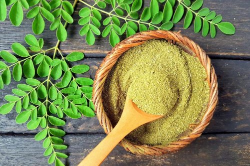 Moringa: The new superfood that's trending among wellness types | The Independent