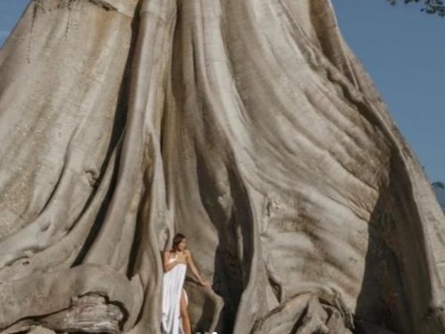 Russian Woman Who Posed Nude In Front Of Sacred Tree Deported From Bali Flipboard