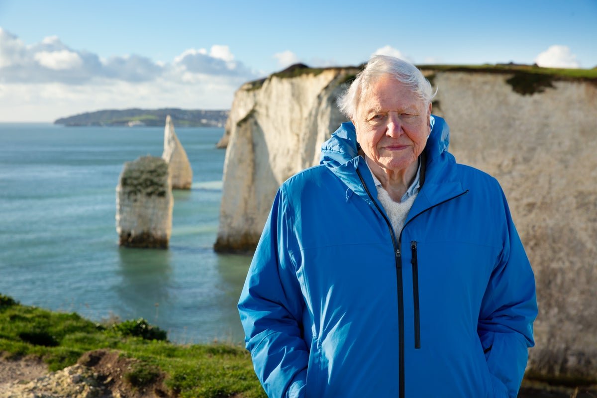 David Attenborough to release landmark feature film, Ocean, to mark 99th birthday