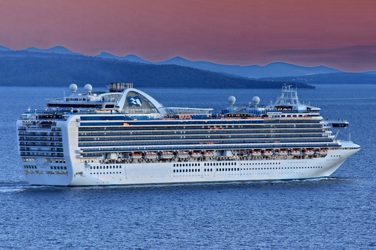 125 people fall sick in norovirus outbreak on Princess Cruises ship