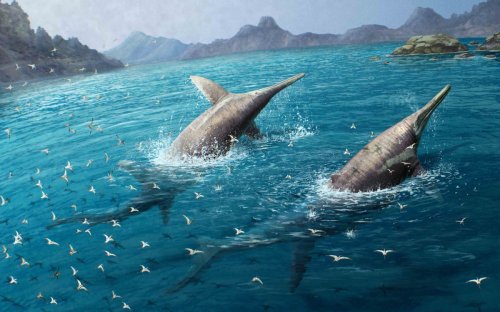 Scientists identify what may be the largest known marine reptile