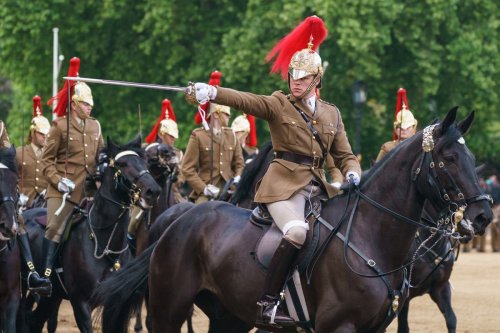 Furry mascot in attendance at final Trooping the Colour practice