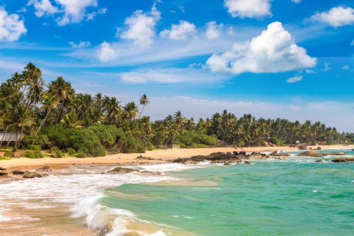 Sri Lanka travel advice: How has guidance changed and is it safe for holidaymakers amid protests?