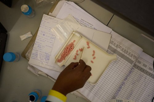 Trump admin threatens to withhold HIV medication to Zambia unless demands are met, report says | Flipboard