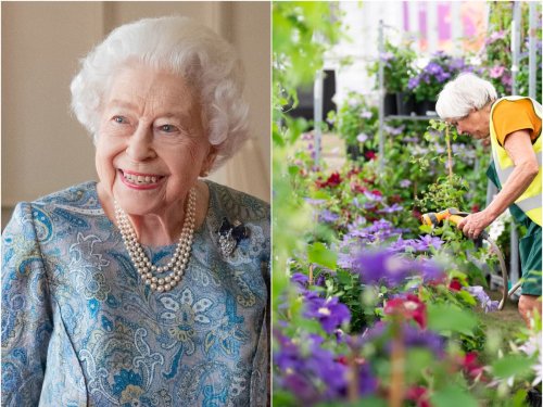 Chelsea Flower Show to mark platinum jubilee with floral portrait of the Queen