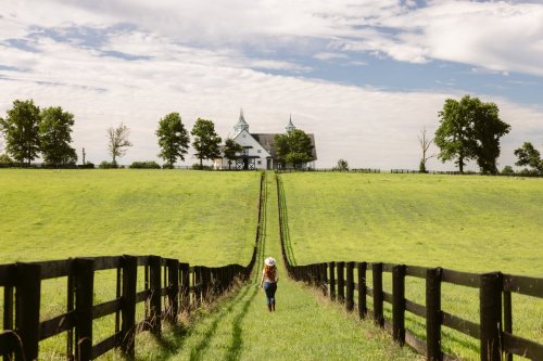 Travels through the Bluegrass state: Where to visit in Kentucky