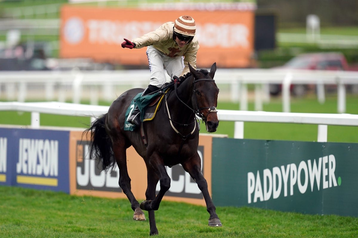 Positive update on Broadway Boy after horror fall during Grand National