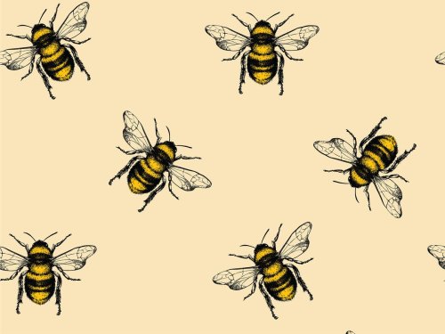 World Bee Day 2022: Everything you need to help save the species