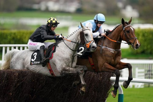 Cheltenham Festival horse Highland Hunter dies after fatal incident
