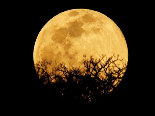 Harvest Full Moon 2020: How to watch rare event tonight as it lines up with ‘full Mars'