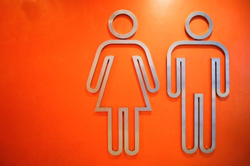 Single-sex toilets ‘to be compulsory in new public buildings’ under new rules
