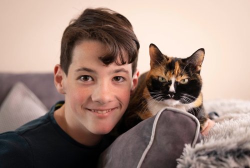 Anxiety-fighting felines and hospice companions nominated in National Cat Awards