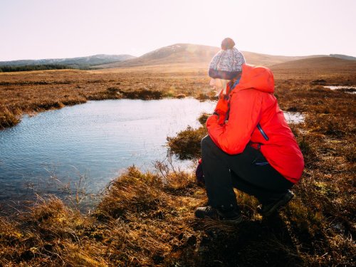Ban on burning grouse moor peatland ‘not enough to tackle climate crisis’