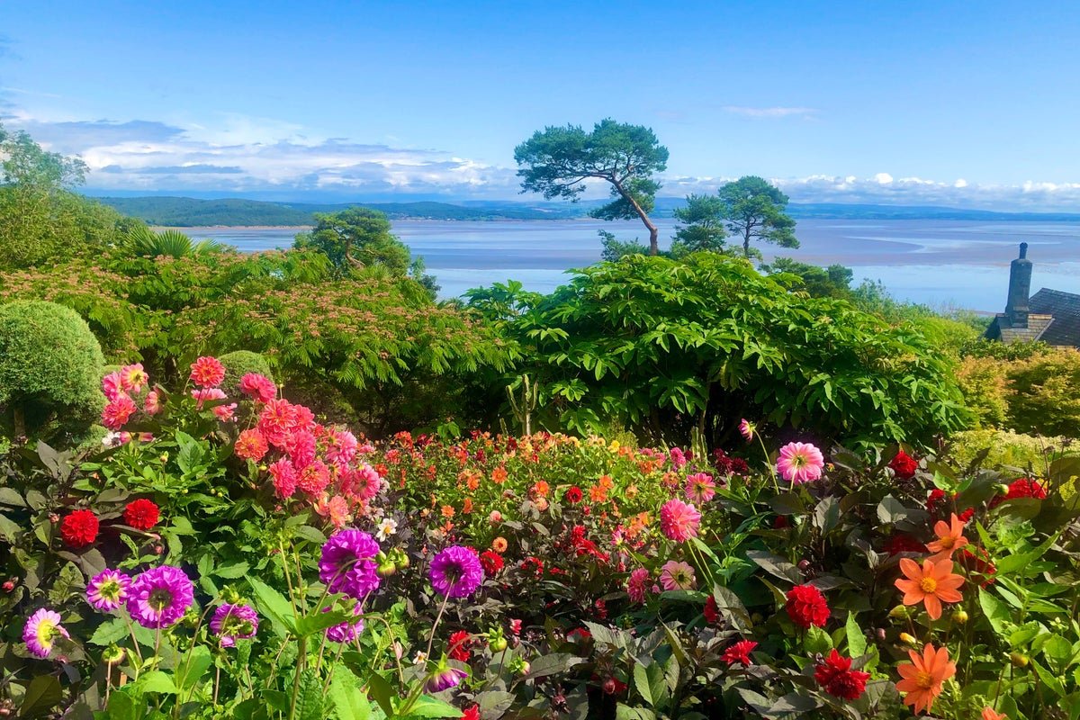 The 11 coastal gardens you need to visit this summer
