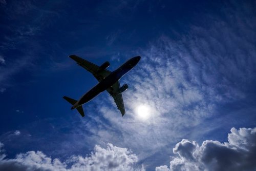 Investigation launched into lack of ‘cheap’ travel Covid tests on government’s website