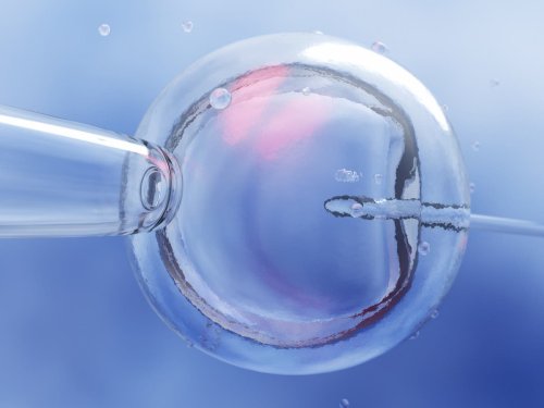 Alabama’s IVF ruling is already preventing people from having children: ‘Our lives are upended’