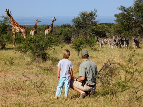 Family safaris: Animal adventures for all ages | The Independent