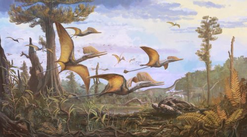 New winged dinosaur discovered on Scottish island