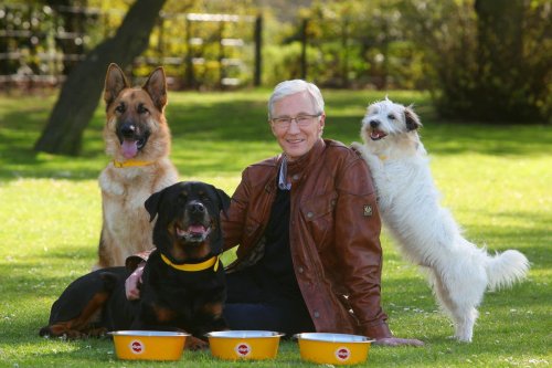 Paul O’Grady was ‘champion for the underdog’ – Battersea Dogs and Cats Home