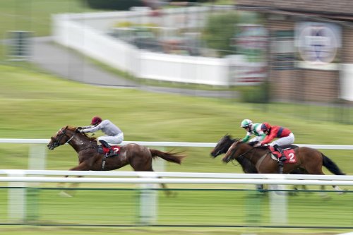 Ebro River makes Group race leap with Coventry date