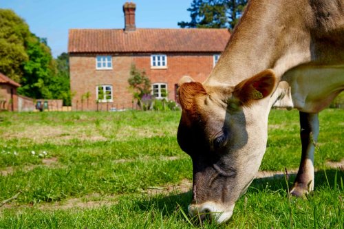 3 of the UK’s finest rewilding projects to combine a short break with