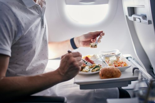 Traveller shares ‘sad’ vegetarian meal they received during 12-hour flight