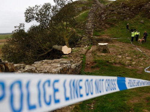 ICYMI: Man ‘devastated’ after National Trust remove sapling he planted to replace Sycamore Gap