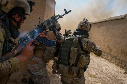 MoD’s decision-making on Afghan cases ‘a disaster area’ that could be likened to ‘a crime scene’, court hears