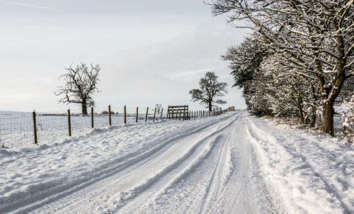 UK weather: Snow warning issued by Met Office as ‘Arctic blast’ to bring freezing temperatures