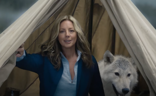 Sarah McLachlan spoofs her animal cruelty prevention commercials in new Super Bowl ad