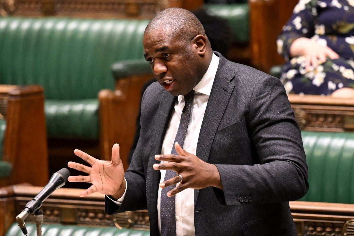 Labour MP accuses David Lammy of misleading parliament over Chagos deal