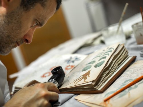 Code in the 'world's most mysterious book' deciphered by AI