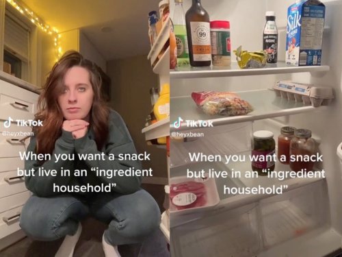 what-is-an-ingredient-household-tiktok-phrase-for-snackless-homes