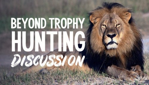 The time has come to stop African trophy hunting | Flipboard