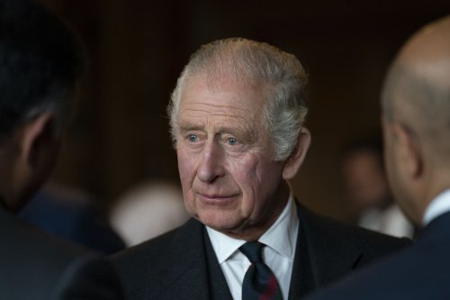 Charles hailed as ‘people’s King’ at first official reception as monarch
