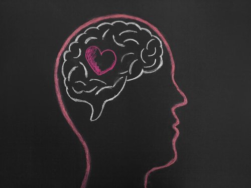 How love changes your brain