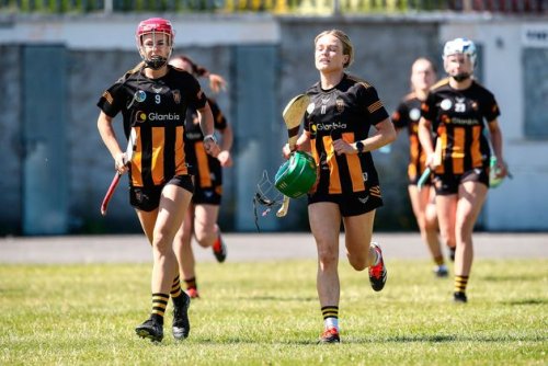 Kilkenny crowned Leinster camogie champions as final goes ahead amid skort controversy