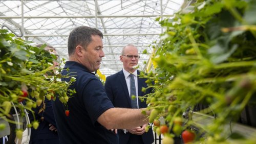 Fingal growers air their concerns to Minister amid rising costs and peat supply crisis
