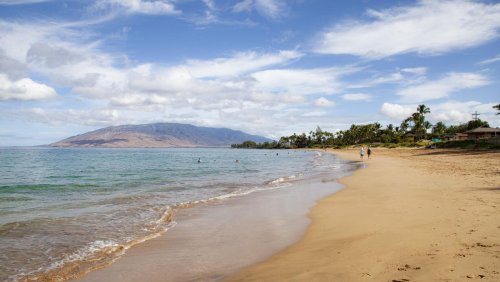 'So busy, it feels like Christmas' - everyone's going to Hawaii, and the resorts aren't ready
