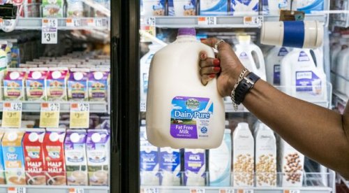 Samantha McCaughren: 'Chill on the dairy shelves as nut drinks crack open the milk market'