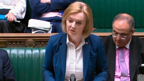 Liz Truss said only Irish people hit by Brexit would be ‘a few farmers with turnips’, ex-diplomat claims