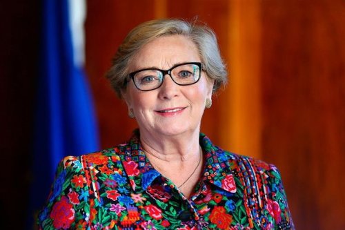 Former tánaiste Frances Fitzgerald rules out Presidential bid