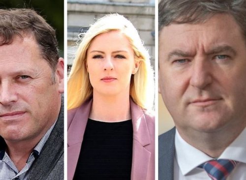 Fianna Fáil to run two senators with Barry Cowen in shock Euro elections move