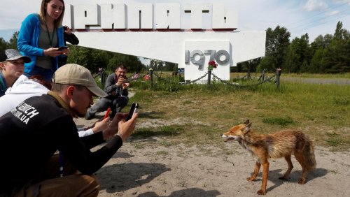 Tourists flock to Chernobyl as TV show success drives tourism boom