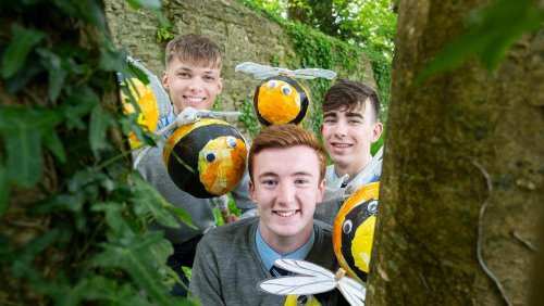 Mallow students buzzing after scooping top biodiversity award