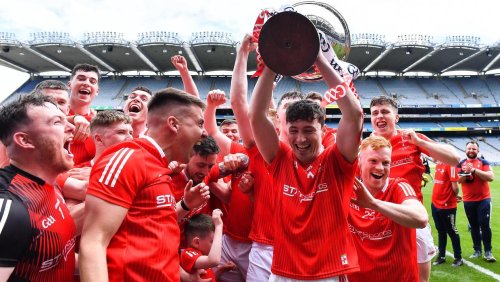 Louth bulldoze a bend through the corner to land third Lory Meagher Cup title