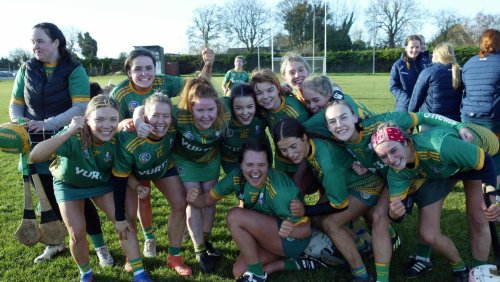 Knockananna land Leinster camogie crown in style