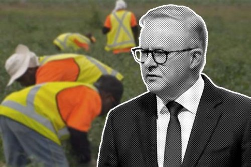Albanese Government cracks down on migrant worker exploitation