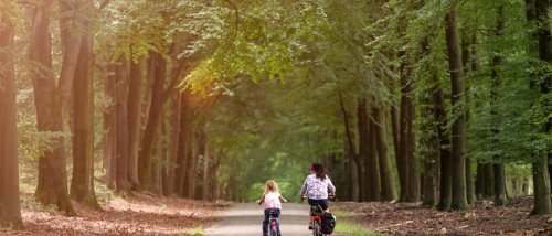Reisverzekering: is mijn fiets meeverzekerd op vakantie? - Independer.nl